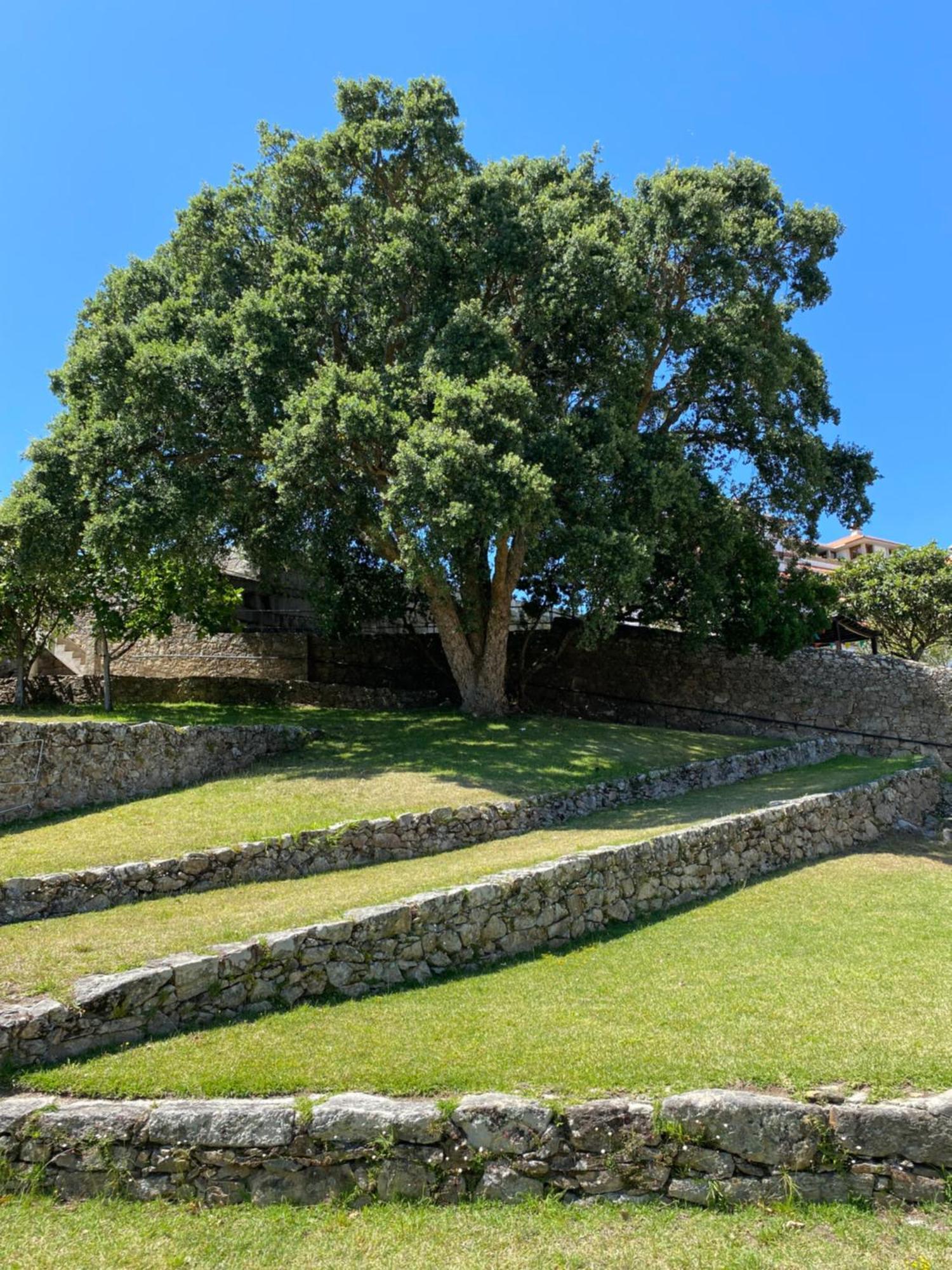ア・グアルダApartamento Para 5 Con Vistas A Portugalアパートメント エクステリア 写真
